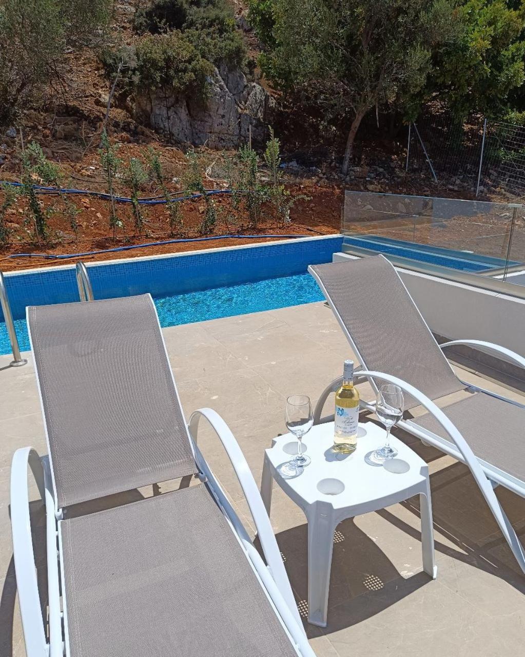Isabel Artemis Crete - Luxury Sea Views Villas Nopigia Extérieur photo